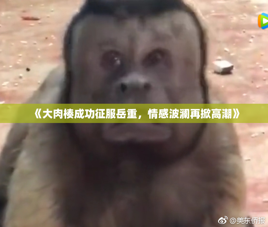 《大肉楱成功征服岳重，情感波澜再掀高潮》