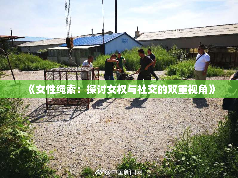 《女性绳索：探讨女权与社交的双重视角》