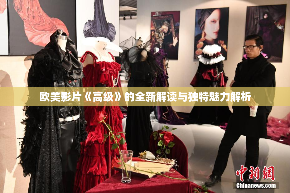 欧美影片《高级》的全新解读与独特魅力解析