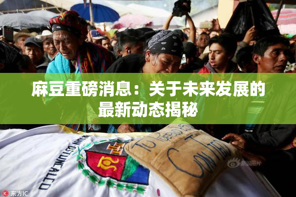 麻豆重磅消息：关于未来发展的最新动态揭秘