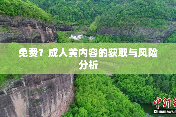 免费？成人黄内容的获取与风险分析