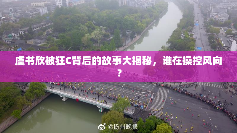 虞书欣被狂C背后的故事大揭秘，谁在操控风向？