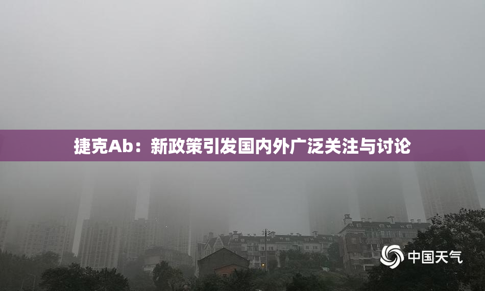 捷克Ab：新政策引发国内外广泛关注与讨论