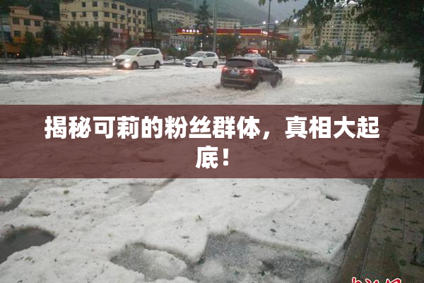 揭秘可莉的粉丝群体，真相大起底！