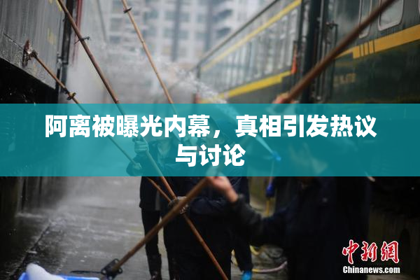 阿离被曝光内幕，真相引发热议与讨论