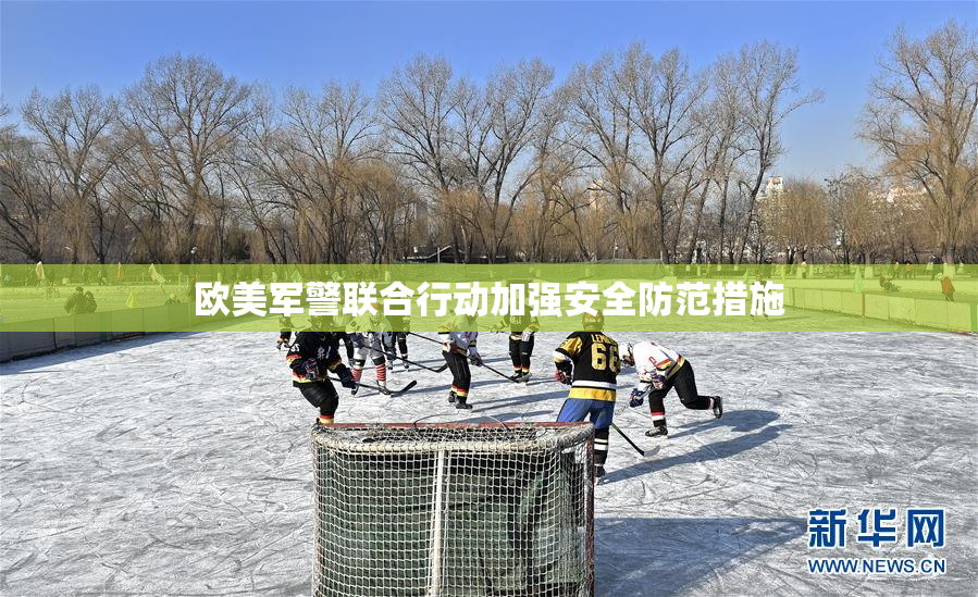 欧美军警联合行动加强安全防范措施