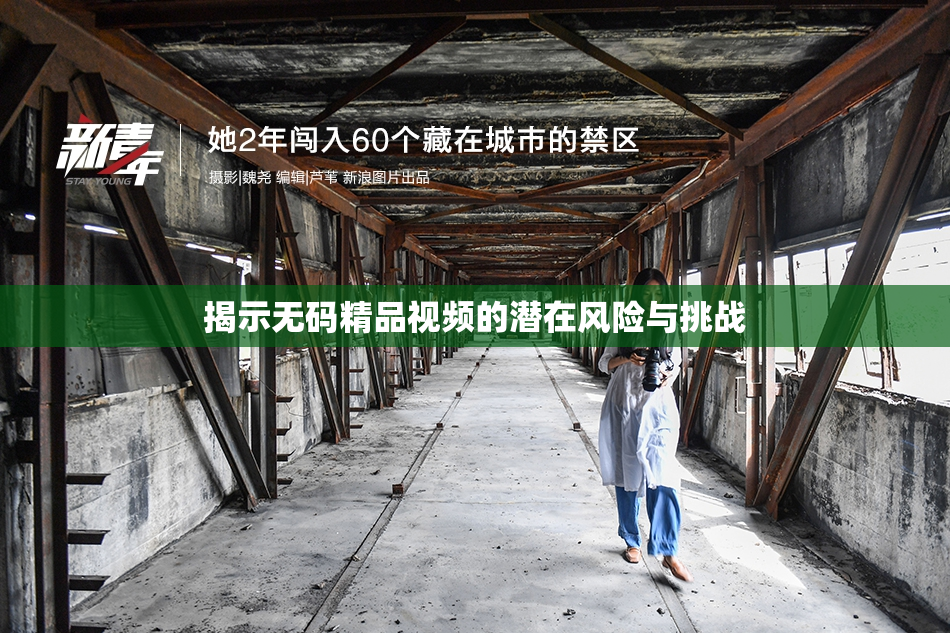 揭示无码精品视频的潜在风险与挑战