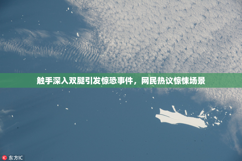 触手深入双腿引发惊恐事件，网民热议惊悚场景