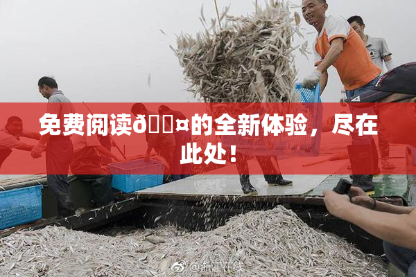 免费阅读🐤的全新体验，尽在此处！