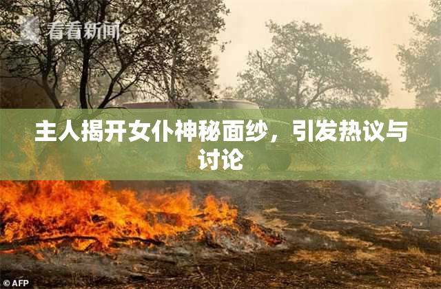 主人揭开女仆神秘面纱，引发热议与讨论
