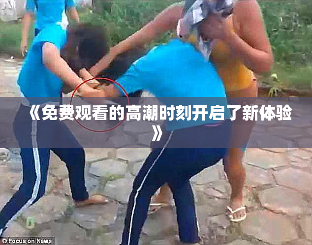 《免费观看的高潮时刻开启了新体验》
