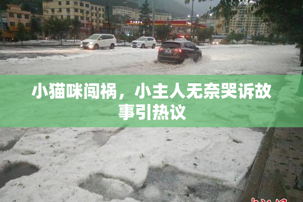 小猫咪闯祸，小主人无奈哭诉故事引热议