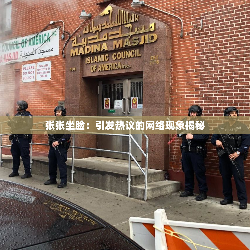 张张坐脸：引发热议的网络现象揭秘