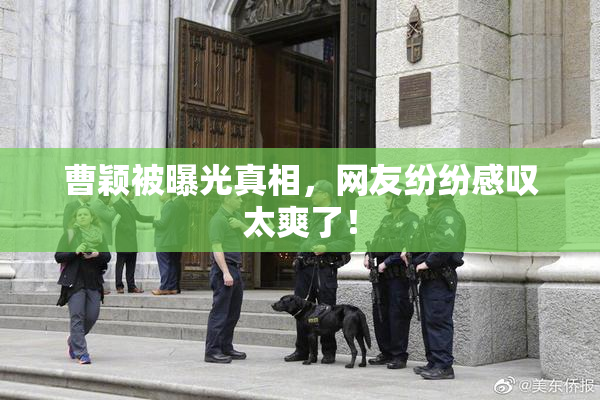 曹颖被曝光真相，网友纷纷感叹太爽了！