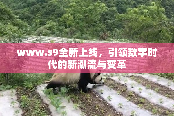 www.s9全新上线，引领数字时代的新潮流与变革