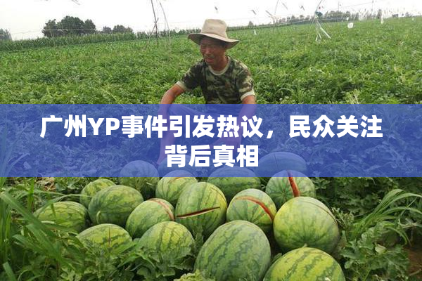 广州YP事件引发热议，民众关注背后真相