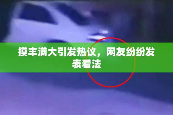 摸丰满大引发热议，网友纷纷发表看法