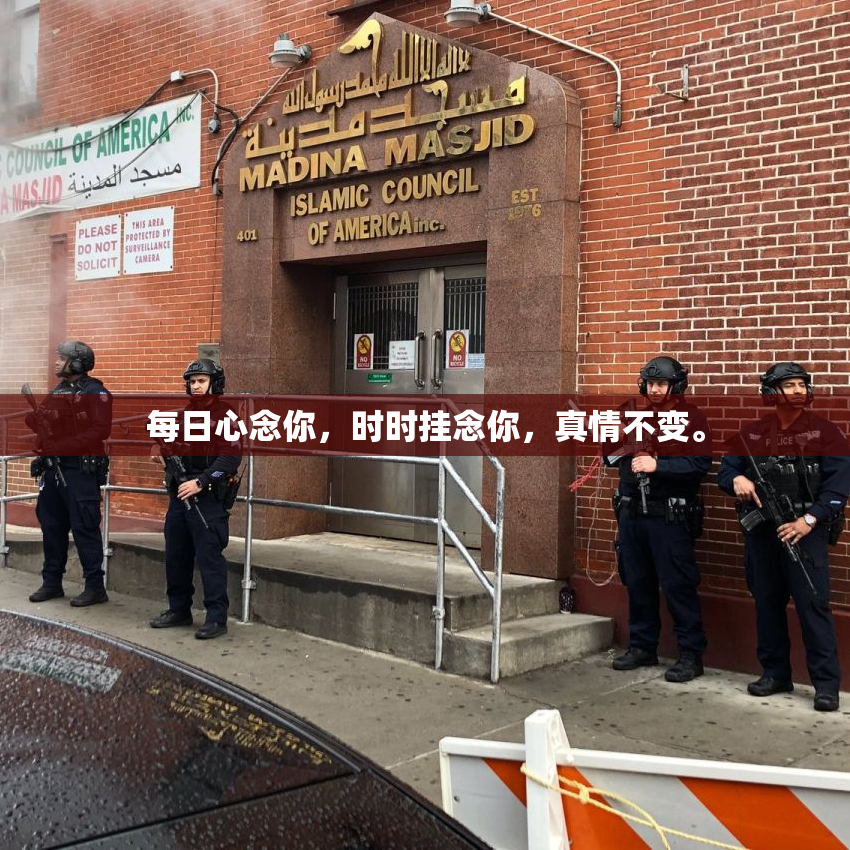 每日心念你，时时挂念你，真情不变。