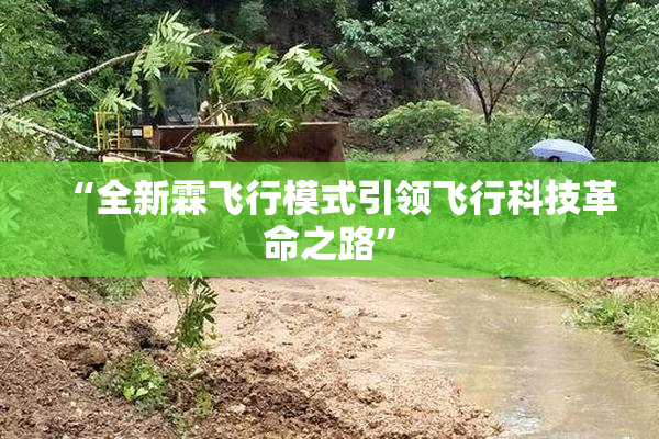 “全新霖飞行模式引领飞行科技革命之路”