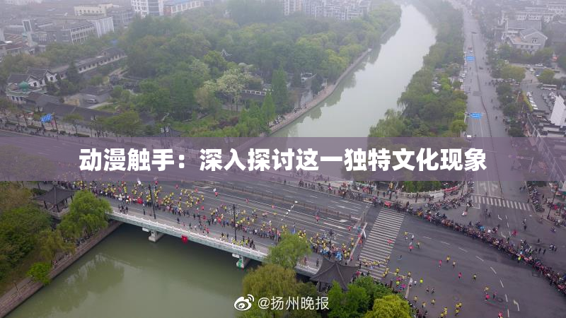 动漫触手：深入探讨这一独特文化现象