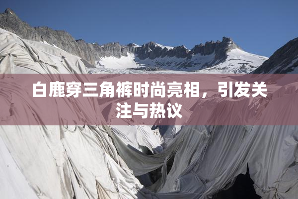 白鹿穿三角裤时尚亮相，引发关注与热议