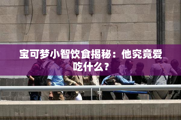宝可梦小智饮食揭秘：他究竟爱吃什么？