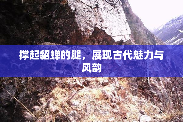 撑起貂蝉的腿，展现古代魅力与风韵
