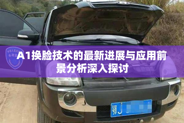 A1换脸技术的最新进展与应用前景分析深入探讨