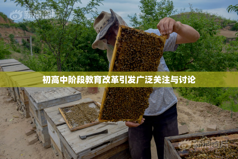 初高中阶段教育改革引发广泛关注与讨论