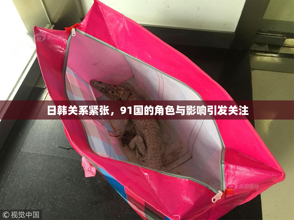 日韩关系紧张，91国的角色与影响引发关注
