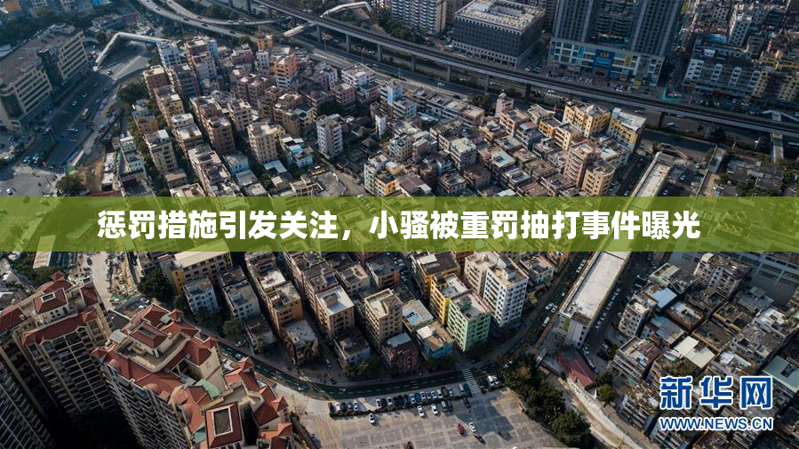 惩罚措施引发关注，小骚被重罚抽打事件曝光
