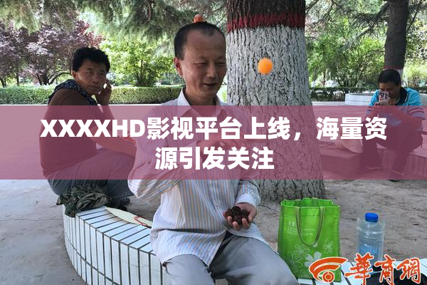 XXXXHD影视平台上线，海量资源引发关注