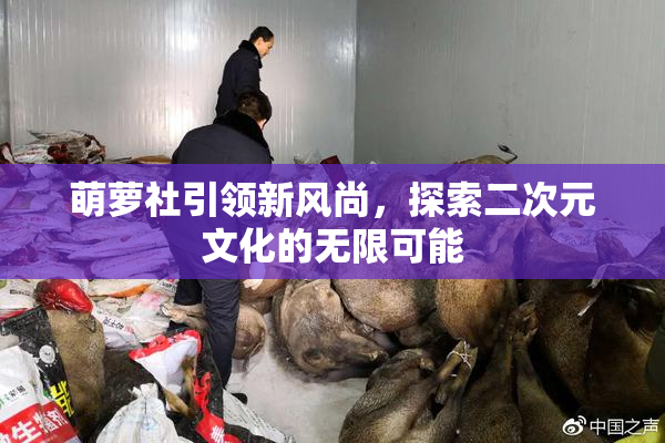 萌萝社引领新风尚，探索二次元文化的无限可能