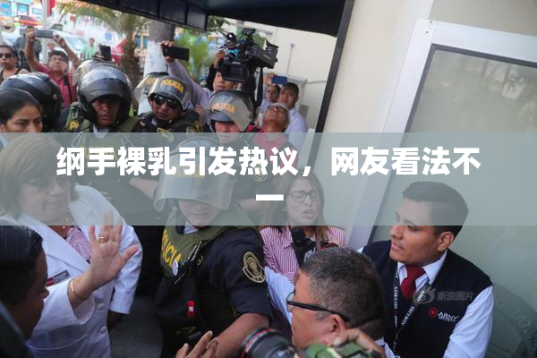 纲手裸乳引发热议，网友看法不一