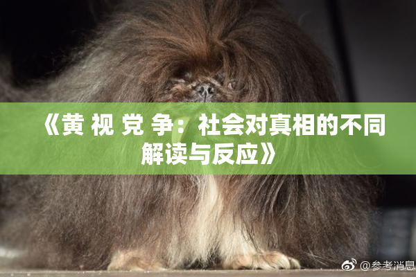 《黄 视 党 争：社会对真相的不同解读与反应》