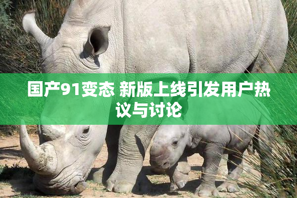 国产91变态 新版上线引发用户热议与讨论