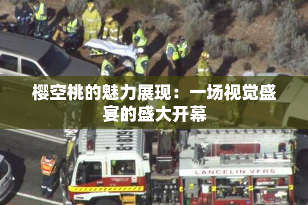 樱空桃的魅力展现：一场视觉盛宴的盛大开幕
