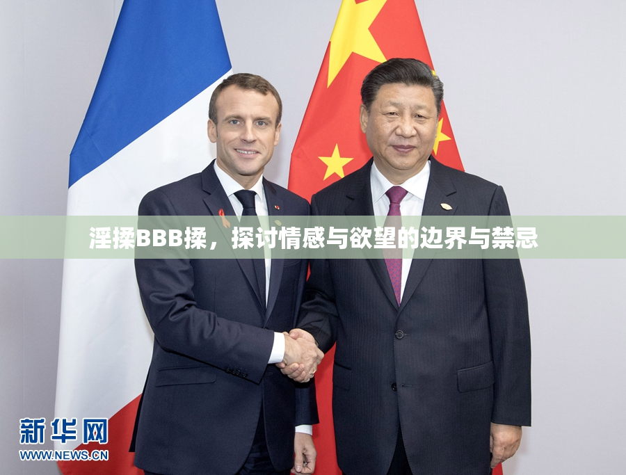 淫揉BBB揉，探讨情感与欲望的边界与禁忌