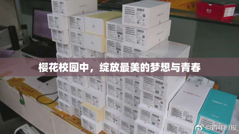 樱花校园中，绽放最美的梦想与青春