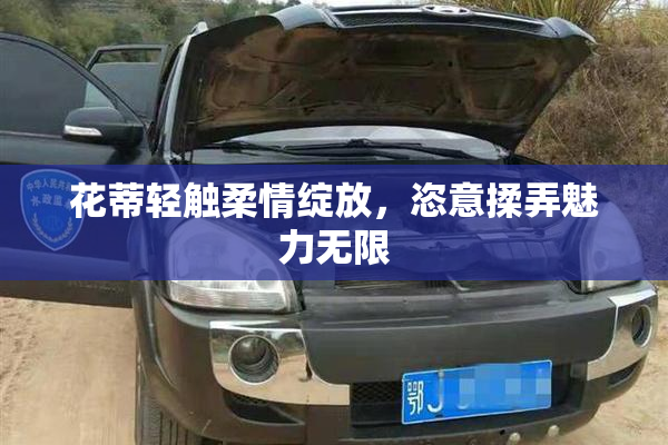 花蒂轻触柔情绽放，恣意揉弄魅力无限