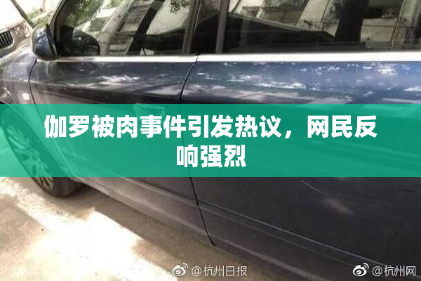 伽罗被肉事件引发热议，网民反响强烈