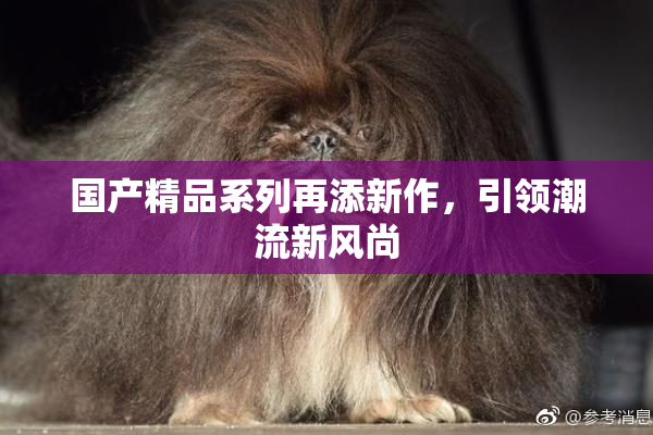 国产精品系列再添新作，引领潮流新风尚