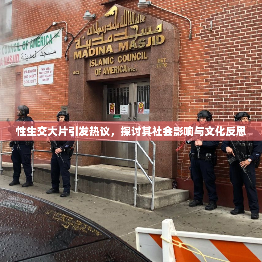 性生交大片引发热议，探讨其社会影响与文化反思