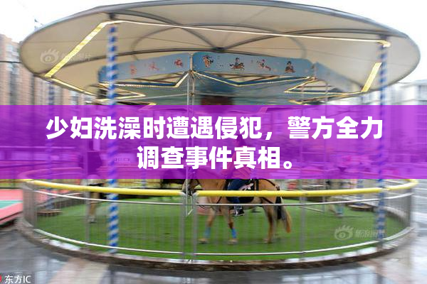 少妇洗澡时遭遇侵犯，警方全力调查事件真相。