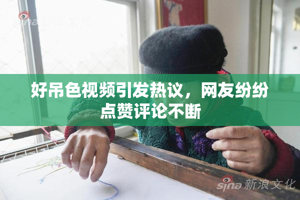 好吊色视频引发热议，网友纷纷点赞评论不断