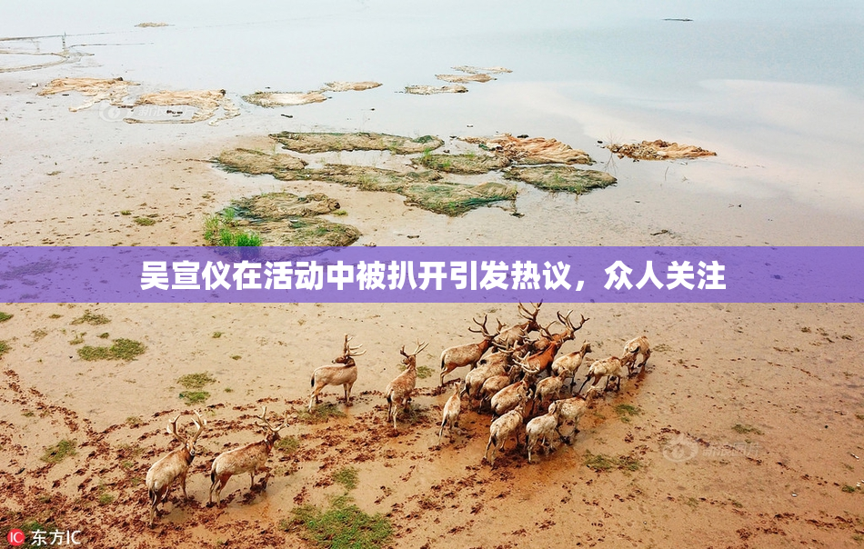 吴宣仪在活动中被扒开引发热议，众人关注