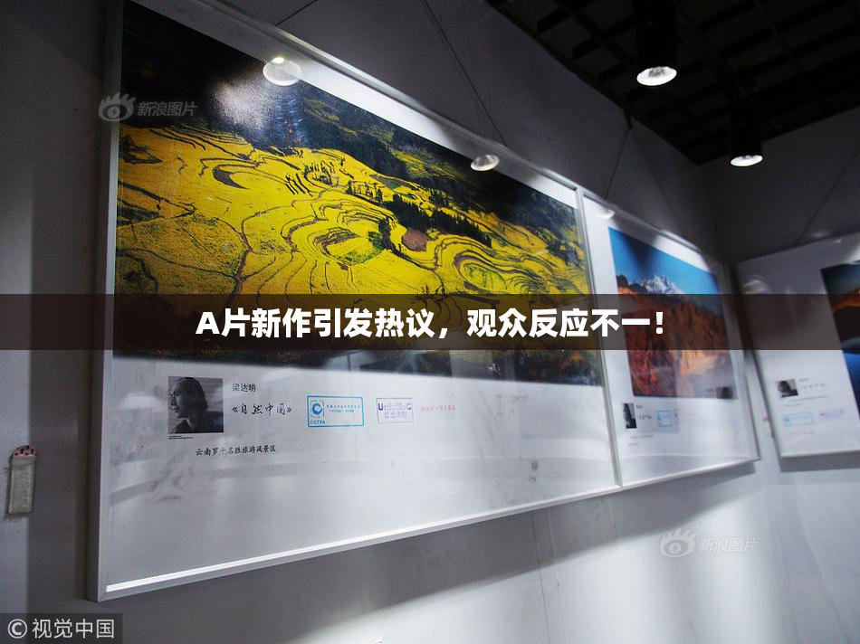 A片新作引发热议，观众反应不一！