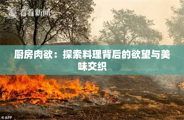 厨房肉欲：探索料理背后的欲望与美味交织