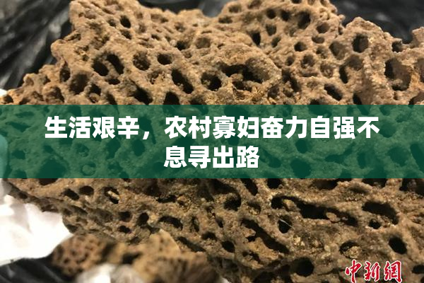 生活艰辛，农村寡妇奋力自强不息寻出路