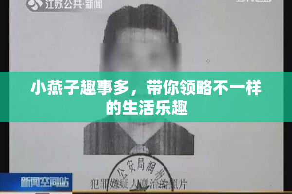 小燕子趣事多，带你领略不一样的生活乐趣